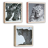 ZEP WL57100 Album Slip -in 100 photos 13x19 cm - 12 albums
