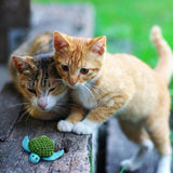 Kong kat katnip Schildkröt
