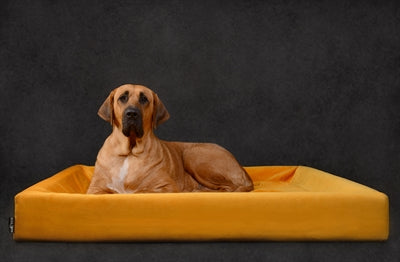 Bia Royal Velvet Cover for Dog Basket Oker