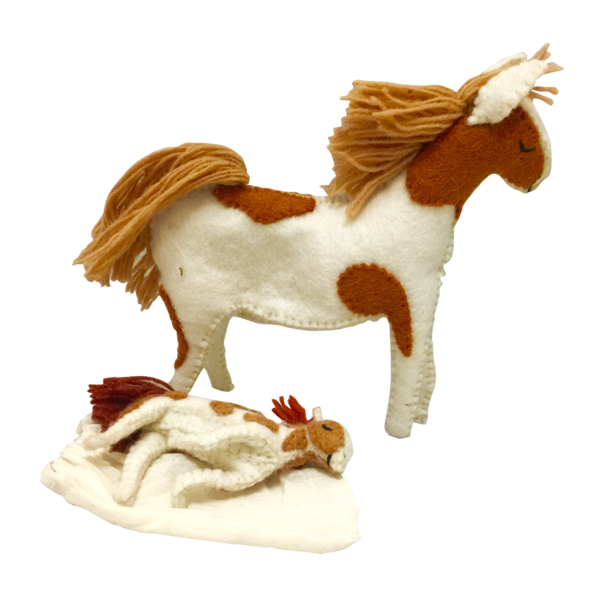 Papoose Toys Papoose Toys Hope Has A Baby Book and Toy