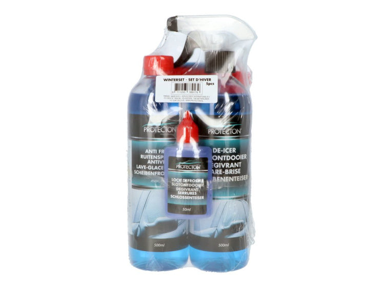 Protekton Wanter Set 5-Stéck Auto 500 ml blo